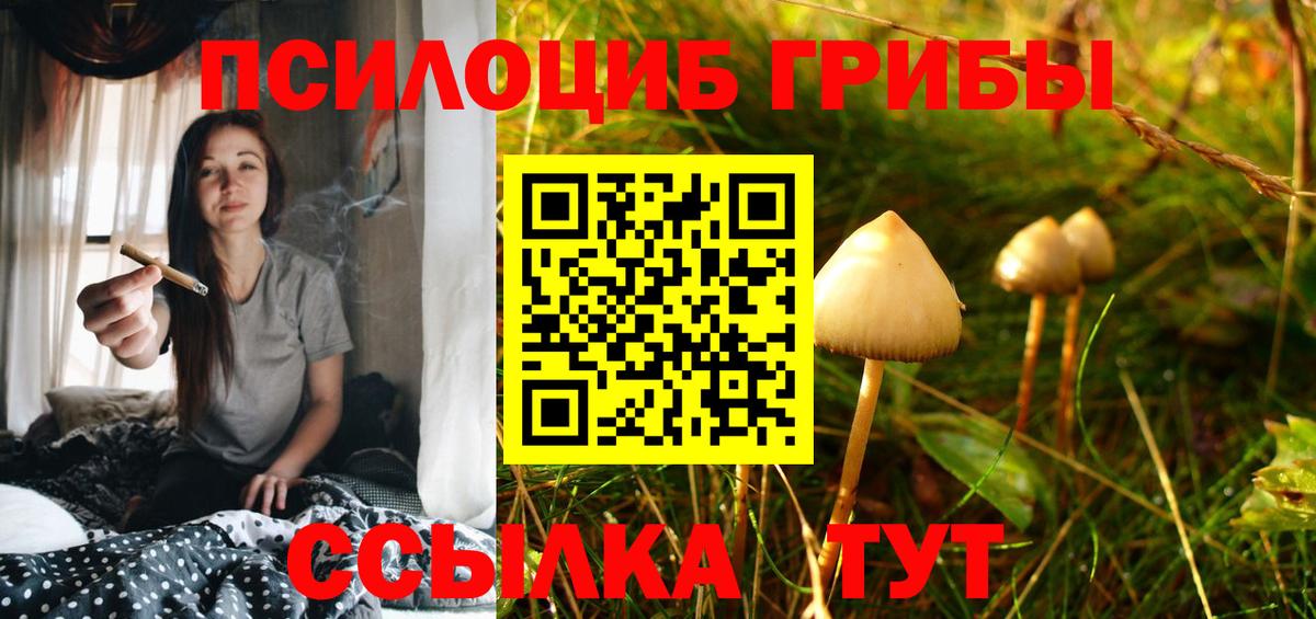 Псилоцибиновые грибы мицелий Лениногорск